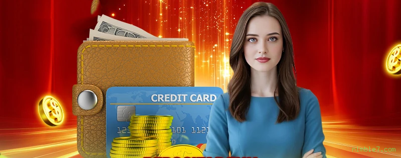 Controles de paJogonto e BRL em nimble7.com