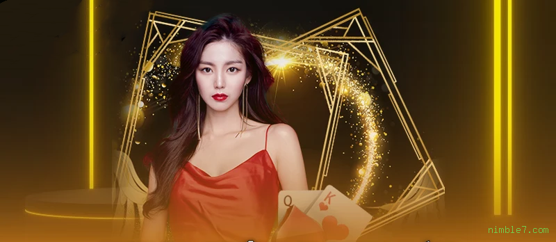 Controles de paJogonto e BRL em nimble7.com